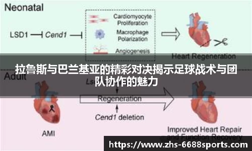 拉鲁斯与巴兰基亚的精彩对决揭示足球战术与团队协作的魅力